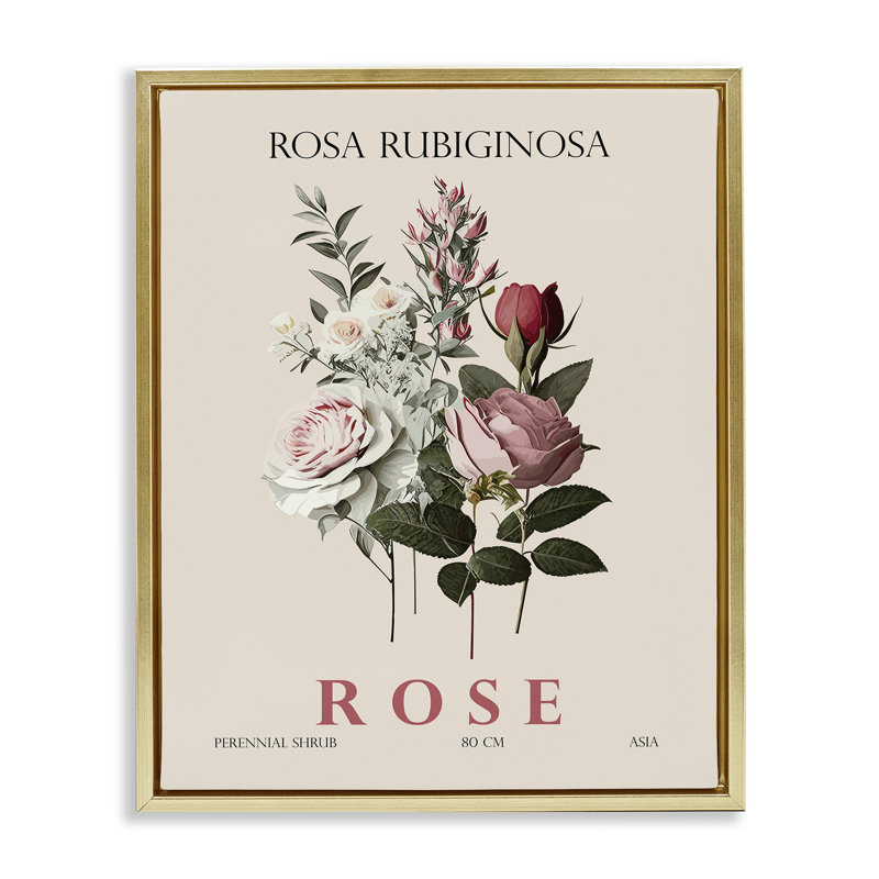 Cadre flottant Natural Rose, par Christopher Giampietro, Cadre flottant métallique doré, H 21 po x l 17 po