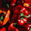 Tapisserie murale légumes poivrons rouges-133636648