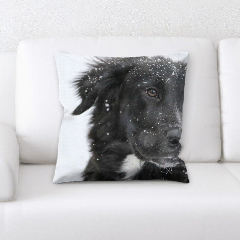 Coussin décoratif collie border