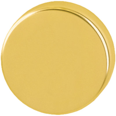 Amarpreet Brescia Blind Escutcheon (Pair)