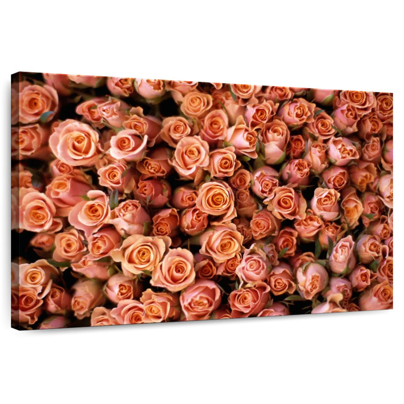 Harnek roses roses au marché Albert Cuyp, H 8 po x l 12 po