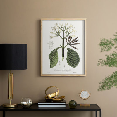 Tropical Botanical IV, reproduction encadrée - bois massif