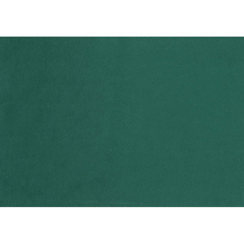 Ensemble de chaises d'appoint 2 pièces, Vert