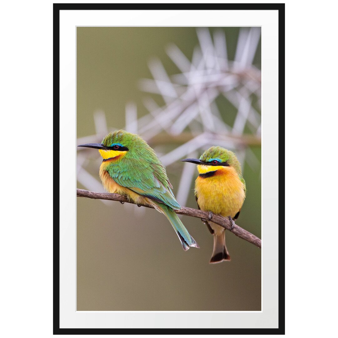 Gerahmtes Poster Vögel auf Ast