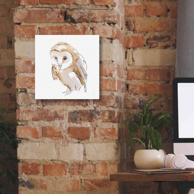 Millwood Pines «Barn Owl I» par Chris Paschke, L 12 po x H 12 po
