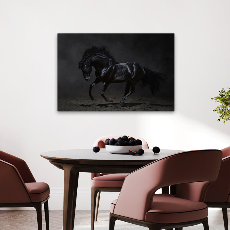 Onyx - photographie, animaux, chevaux, art, H 24 po x l 36 po