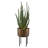 37'' Faux Aloe Plant in Cement Pot