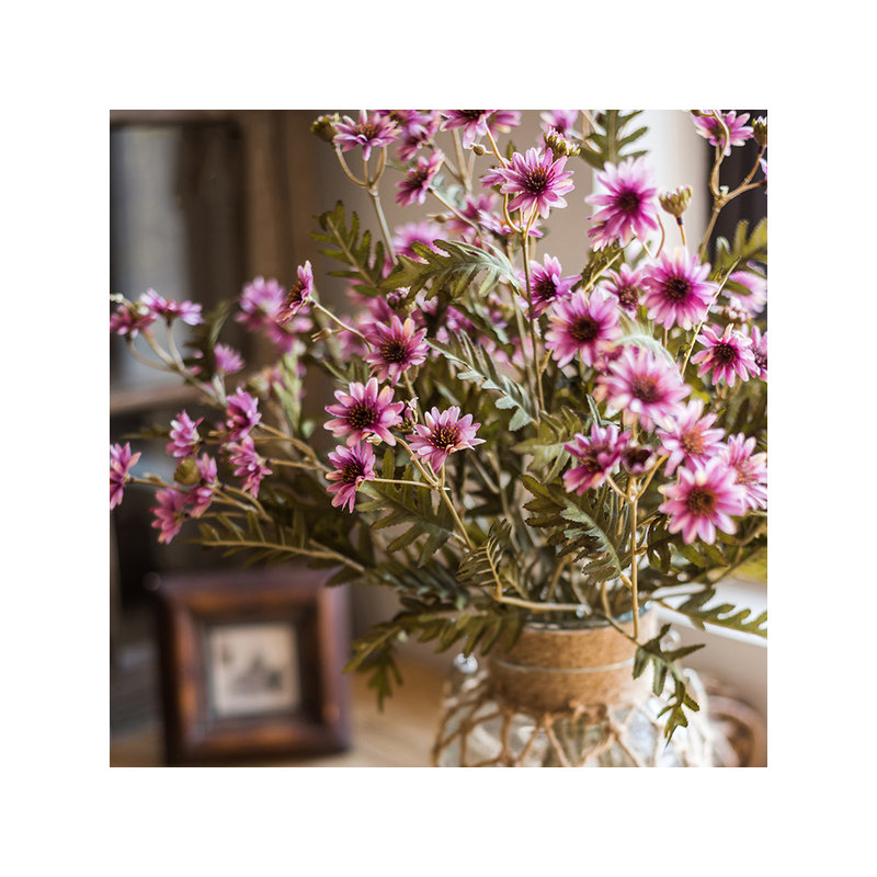 Tige marguerites, Rose