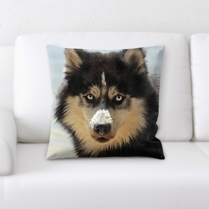 Coussin husky