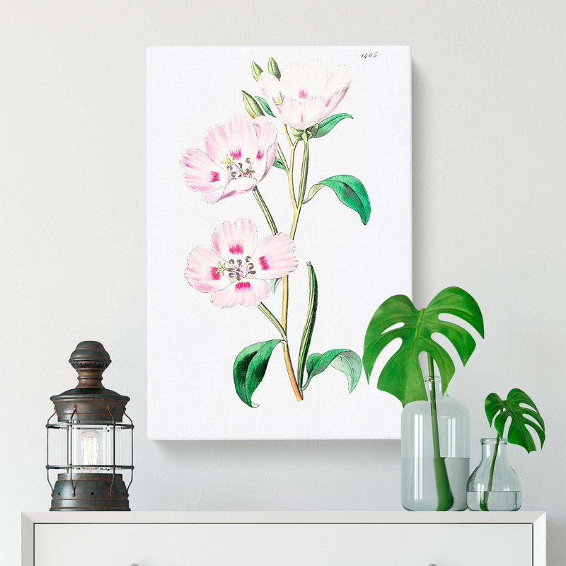 Evening Primrose Flowers in Pink - Wrapped Canvas, 50cm H x 35cm W x 3cm D