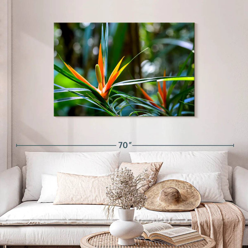 Harnek, oiseaux tropicaux du paradis