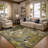 Premium Machine Washable Dream Shag ADS558 Floral Rug-2057635375-2057635360