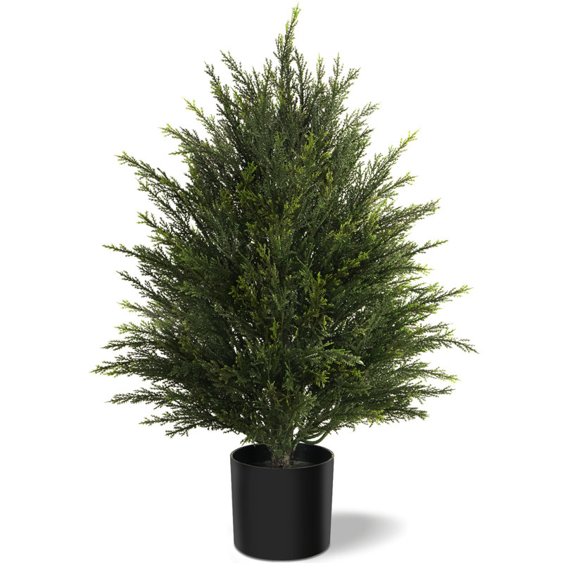 Adorable plante en pot de cèdre artificiel, 1, H 25,2 po x l 15,7 po x P 15,7 po
