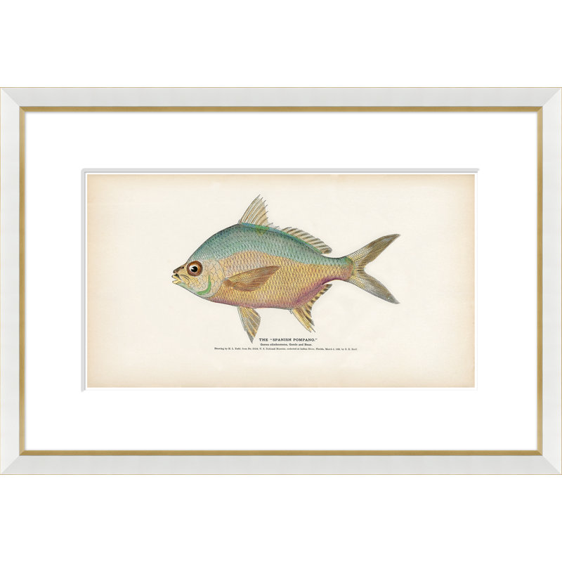 Animals Print by Soicher Marin Archives
