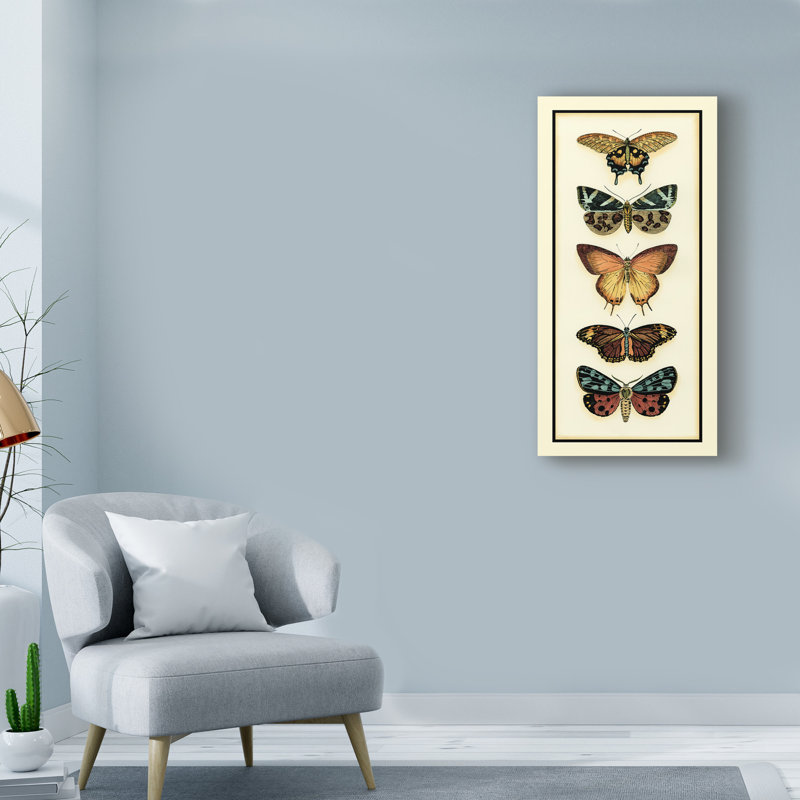 « papillon collector v », reproduction d’impression sur toile tendue, H 19 po x l 10 po x P 2 po