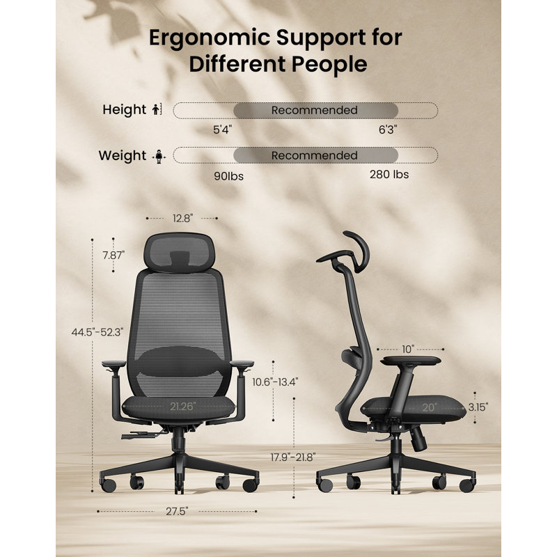 Chaise de bureau ergonomique en filet avec support lombaire réglable et accoudoirs rembourrés pour 280 lb, Noir