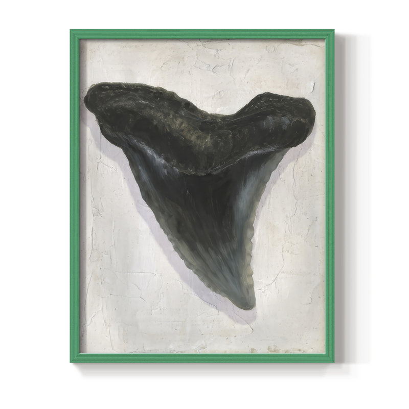 «Watercolor Sharks Tooth I», reproduction encadrée - bois massif, H 30 po x l 24 po, Cadre vert