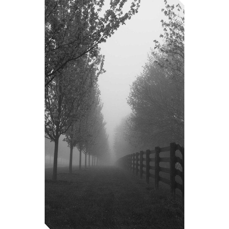 « misty path », reproduction de photo sur toile tendue, H 30 po x l 18 po x P 1 po