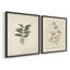 "Vintage Floral XIX" 2 pièces sur papier-74019707-74019701