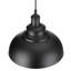 Reichel 1 - Light Black Pendant