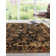 Alameda Abstract Indoor Rug