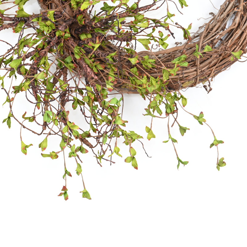 26" Spring Grapevine Wreath for Front Door, Brown/Green