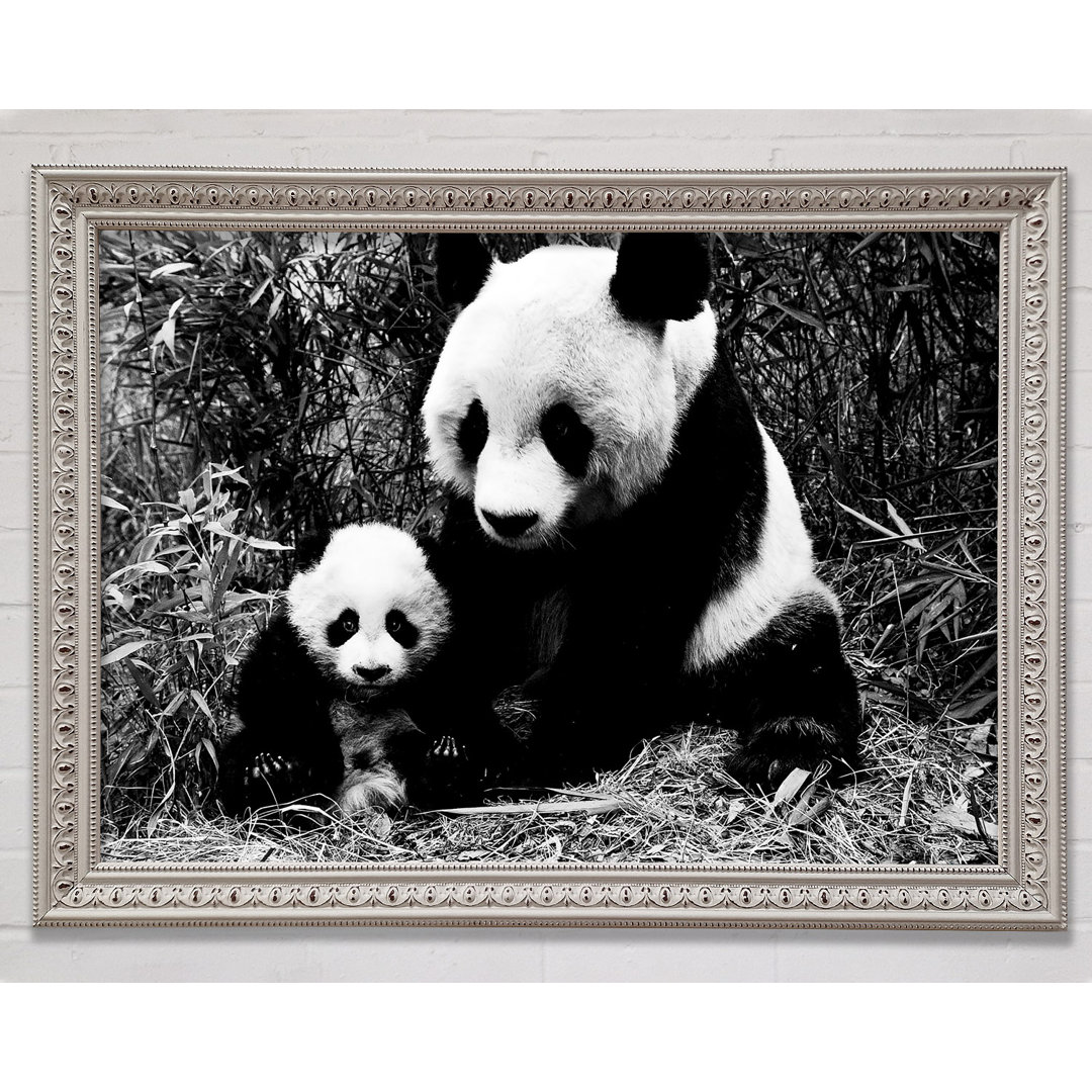 Panda Mutter und Baby - Druck