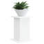 Plant Stand-2121429719