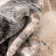 Tapis gris et noir Chimeng Kalia