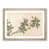 Oak Framed selected