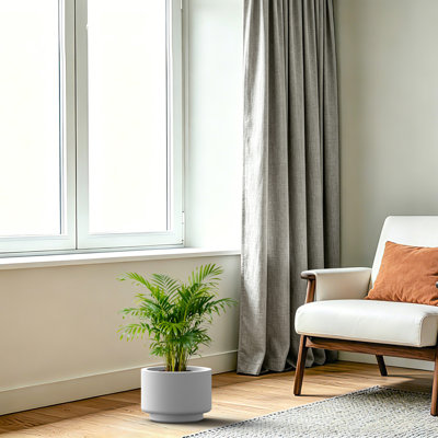 Grand pot / jardinière rond en béton blanc l 9,5 po x H 7 po avec trou de drainage pour l'intérieur et l'extérieur