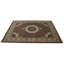 Oriental Area Rug
