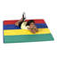 Tapis de gymnastique pliable 4 pi x 4 pi - Rainbow primaire