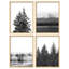 "Noir et blanc, photographie de nature, arbres, montagnes, cascade, décor moderne", 4 pièces-101519795-101519793