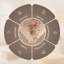 Aspire Homeware Beige Shaggy Area Rug Soft Modern Indoor Carpet-752966674