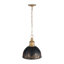 Luminaire suspendu 1 lumière Regena-106853597