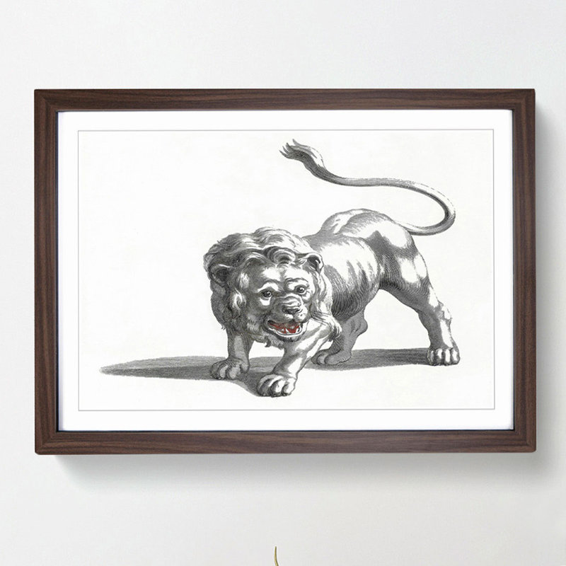 Lion by Johan Teyler - Picture Frame Drawing Print, 27cm H x 36cm W x 2cm D, Walnut Framed