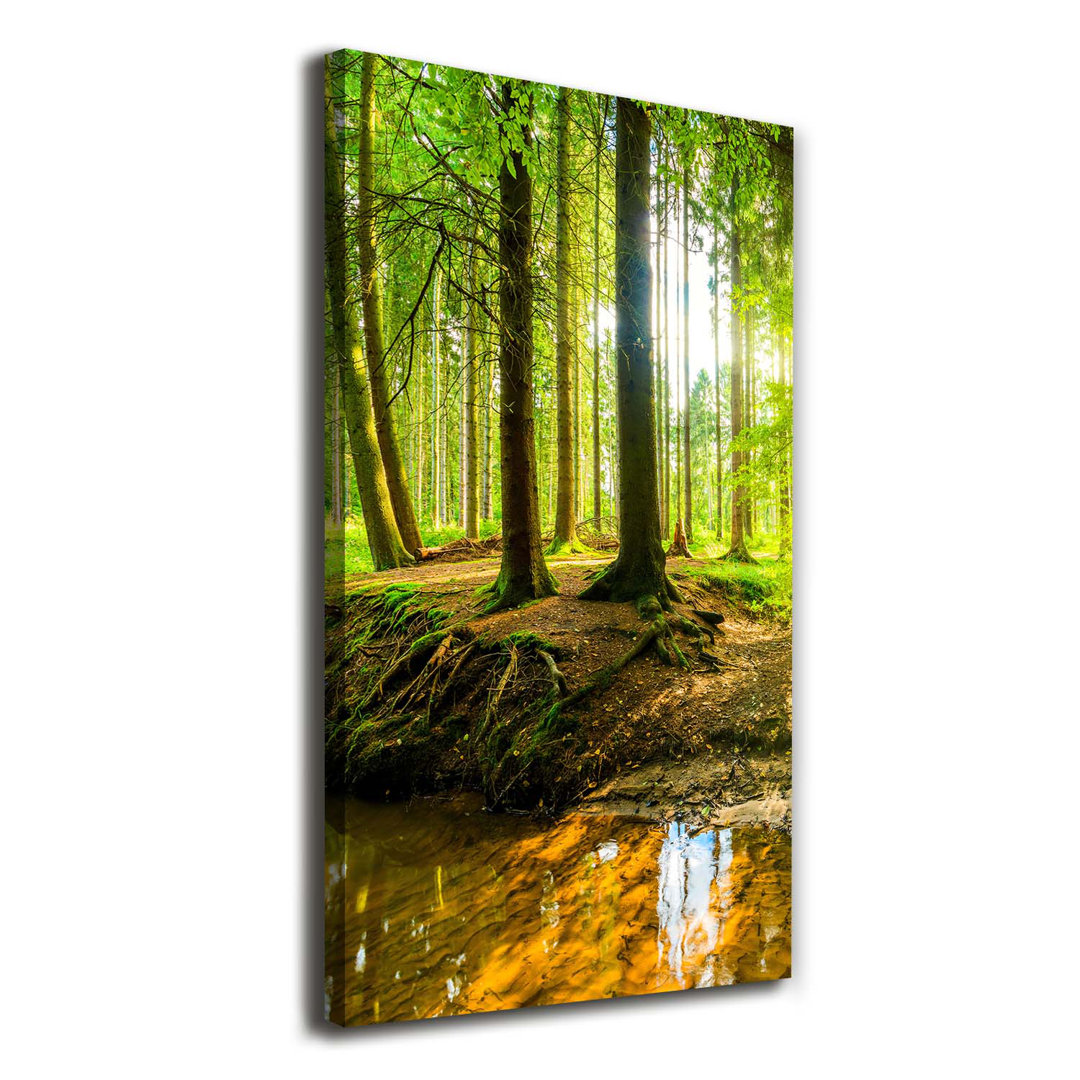 Stream In The Forest - Kunstdrucke auf Leinwand