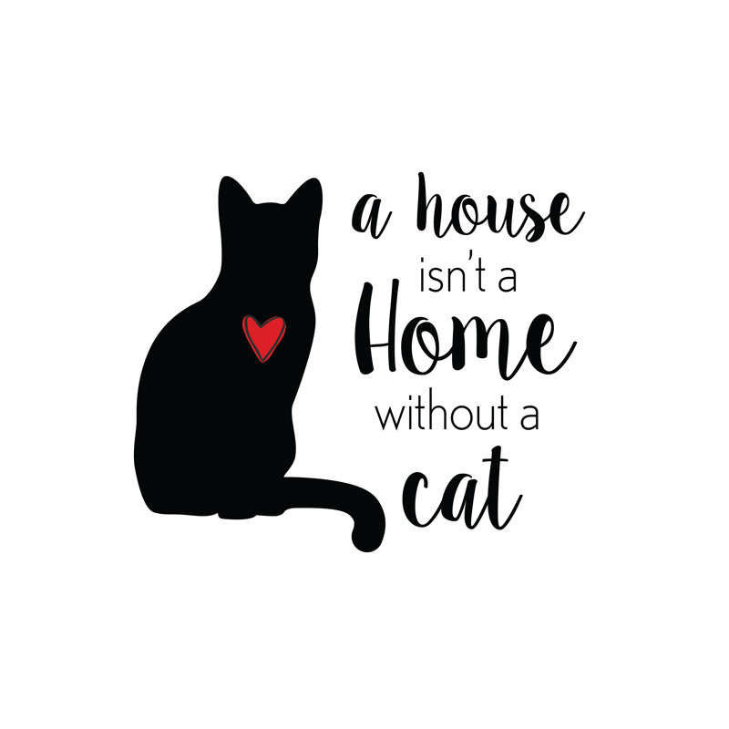 House Home Cat - Wrapped Canvas Print, 122cm H x 122cm W x 3.8cm D