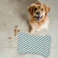 Tapis de sauge 1 pièce