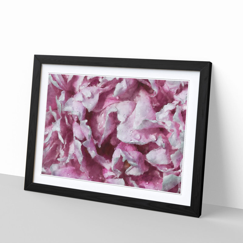 Beautiful Pink Carnation Petals - Single Picture Frame Painting on MDF, Black, 24cm H x 33cm W x 2cm D