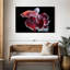 Poisson rouge et blanc Betta-107886580
