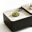 Neves-130141763-130141764