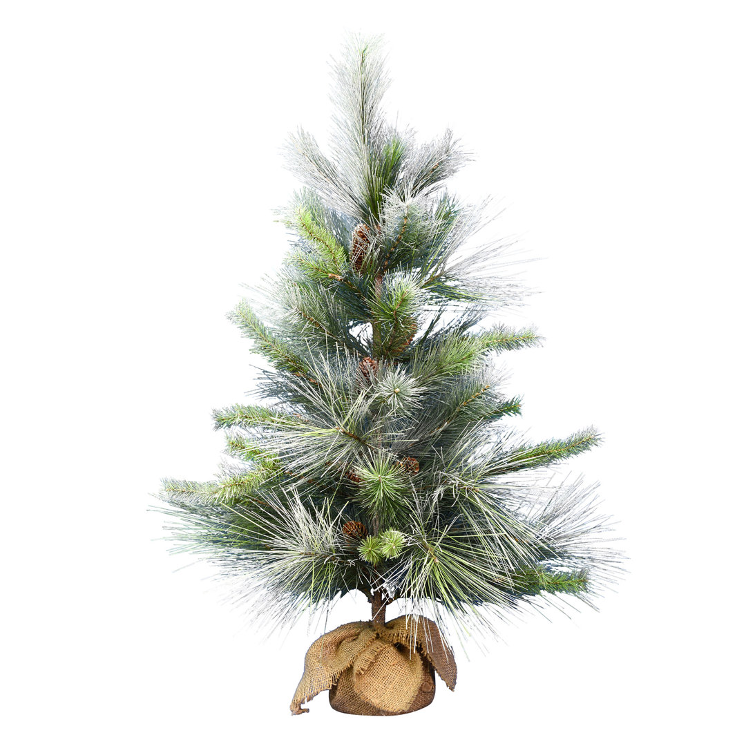 Vickerman Frosted Myers Pine Artificial Christmas 3' Pine Christmas Tree Vickerman