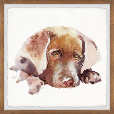 " Sad Lab " by Parvez Taj