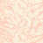 Blush Conch selected