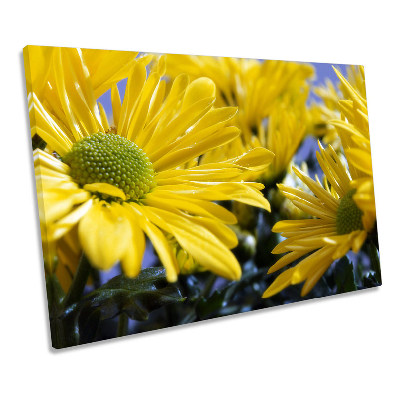 Yellow Flower Floral - Wrapped Canvas Print, 30.5cm H x 45.7cm W x 2cm D