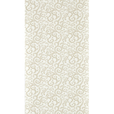 Buta Teal