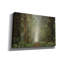 «Misty Spring Road» par Martin Podt, art mural sur toile-1560818717