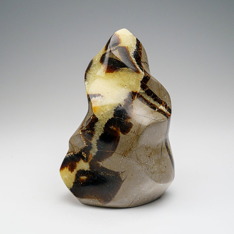 Polished Septarian Flame Freeform From Madagascar (1.3 Lbs)